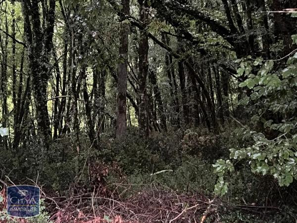 Terrain à vendre 2613m²