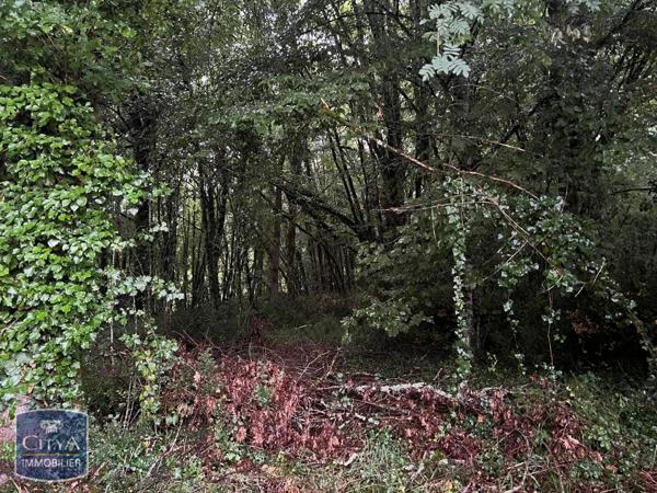 Terrain à vendre 2613m²