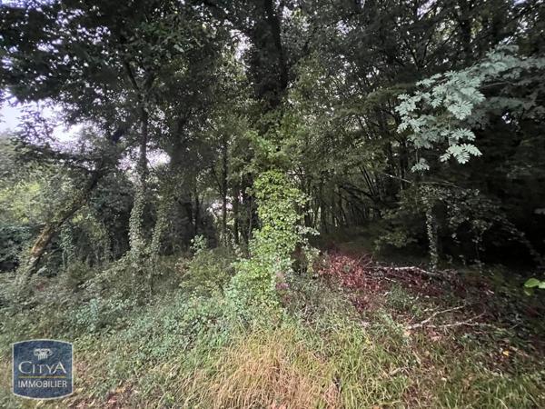 Terrain à vendre 2613m²