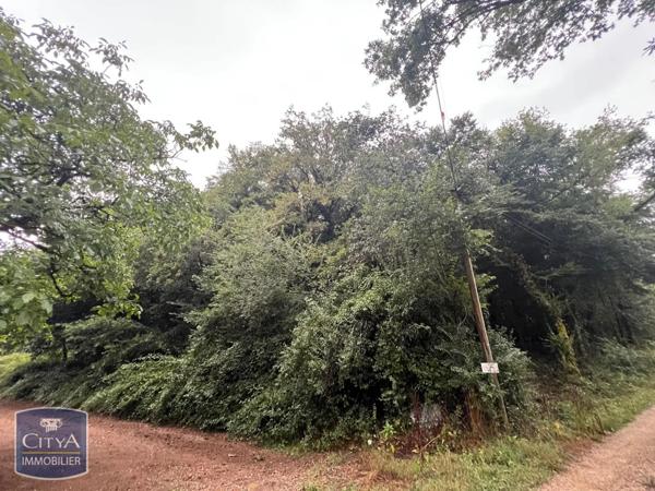 Terrain à vendre 2613m²