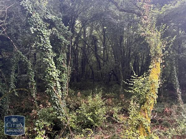 Terrain à vendre 2613m²