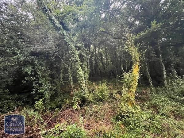 Terrain à vendre 2613m²