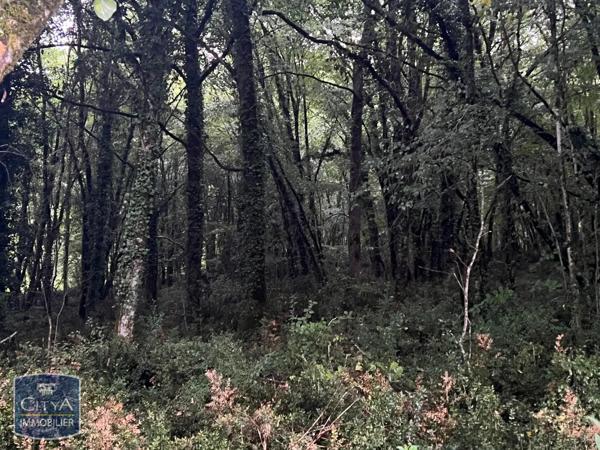 Terrain à vendre 2613m²