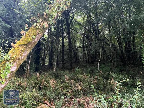 Terrain à vendre 2613m²