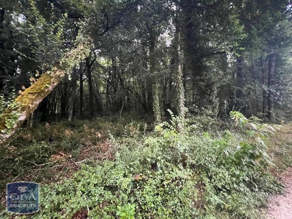 Terrain à vendre 2613m²