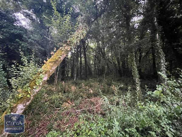 Terrain à vendre 2613m²