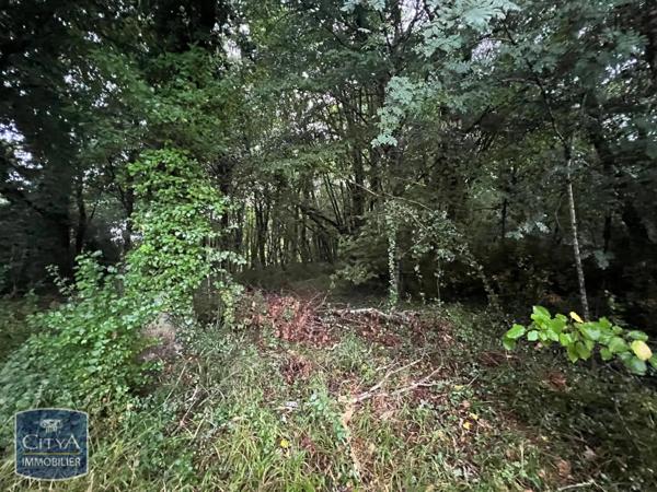 Terrain à vendre 2613m²