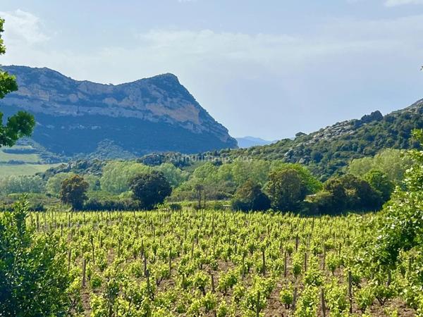 Vente Maison 6 pièces 219 m2 à Saint-Florent