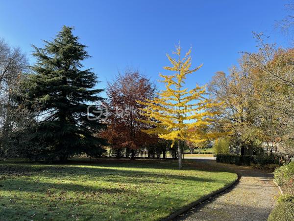 Maison traditionnelle de 206 m²