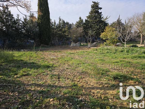 Terrain à vendre 500 m² Ferrals-les-Corbières