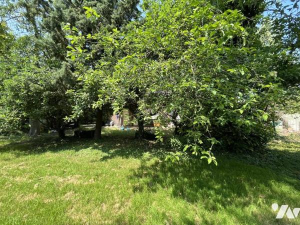 SEMI PLAIN PIED INDIVIDUEL AVEC 1000 m²