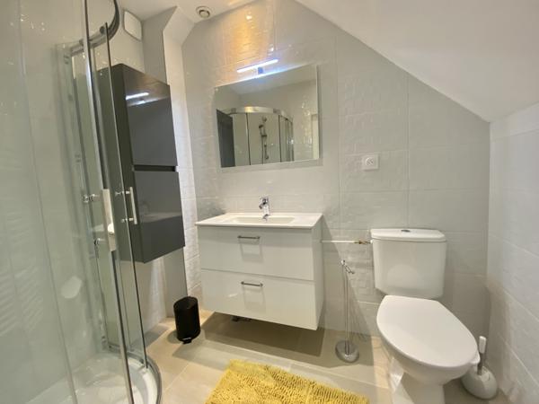 Saint-Étienne (42100) Spécial investisseur / Secteur Tréfilerie - Immeuble loué et rénové