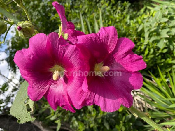 A VENDRE, Maison familiale de 178m² avec piscine, garages et vue splendide à Digne-les-Bains