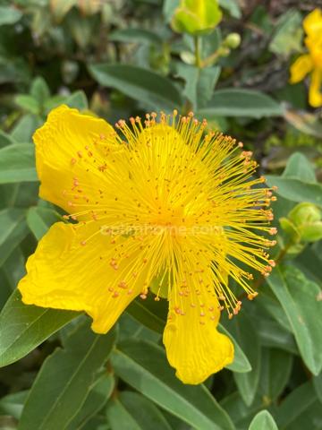 A VENDRE, Maison familiale de 178m² avec piscine, garages et vue splendide à Digne-les-Bains