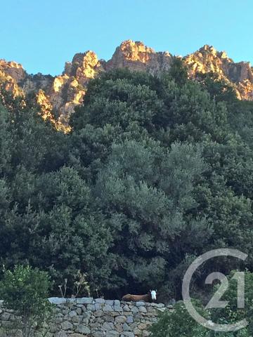 Appartement F4 à vendre  4 pièces - 64 m2 OTA - 201