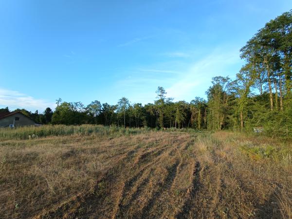 Terrain à vendre à Sarlat-la-Canéda (24200) - Dordogne