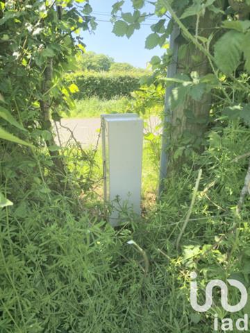 Terrain à vendre 1 555 m² Beauvoir-en-Lyons