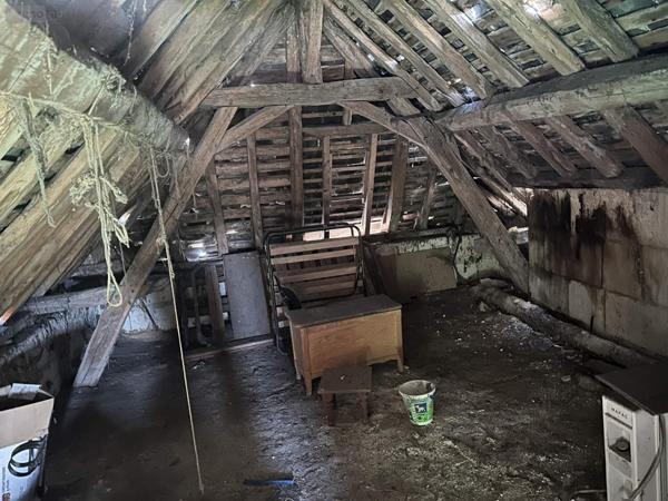 Local mixte (Professionnel/Habitation) à vendre à Gizeux dans l'Indre-et-Loire (37340), ref : 49046/814