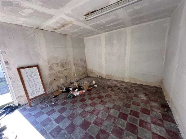 Local mixte (Professionnel/Habitation) à vendre à Gizeux dans l'Indre-et-Loire (37340), ref : 49046/814