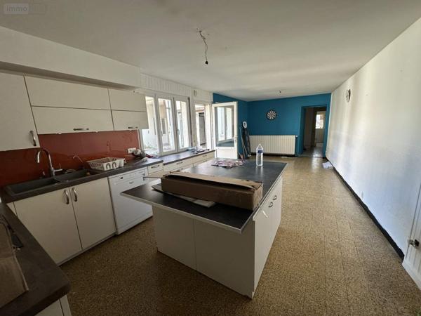 Local mixte (Professionnel/Habitation) à vendre à Gizeux dans l'Indre-et-Loire (37340), ref : 49046/814