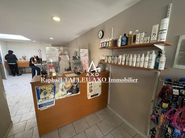 Fond de Commerce Toilettage canin de 120m² environs et de 4 pièces