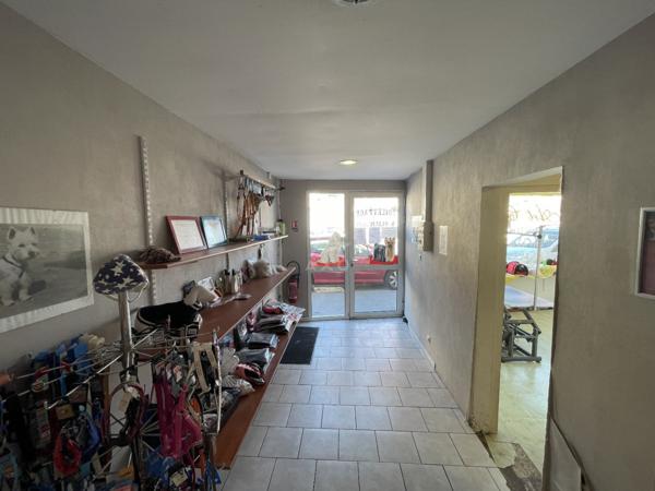 Fond de Commerce Toilettage canin de 120m² environs et de 4 pièces