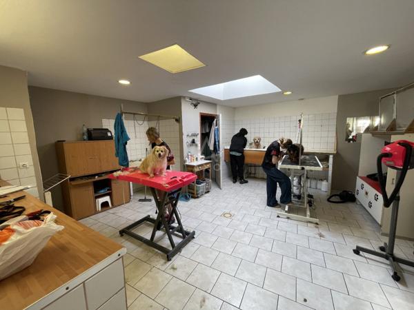 Fond de Commerce Toilettage canin de 120m² environs et de 4 pièces