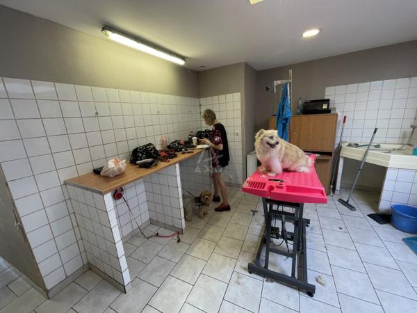 Fond de Commerce Toilettage canin de 120m² environs et de 4 pièces