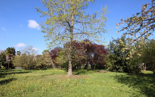 Maison à vendre    7 pièces •  Mirepeix