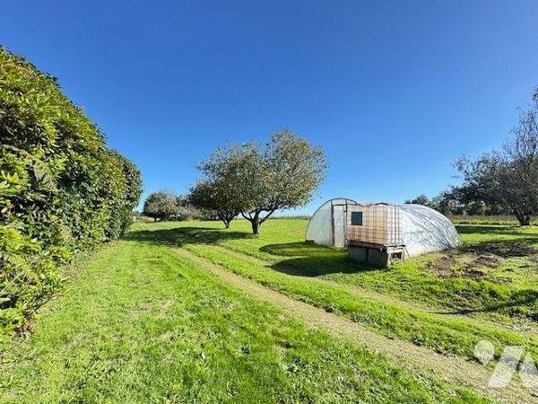 À vendre maison à ARZANO (29)

Axe QUIMPERLE - ARZANO. Maison en pierre exposée sud-est. Ce b...