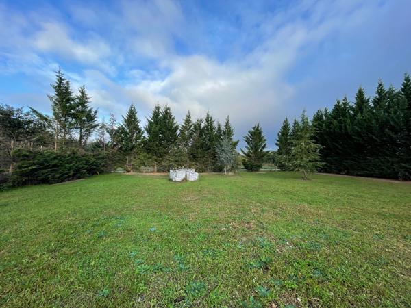 Terrain 800 M2 - Bessières