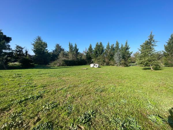 Terrain 800 M2 - Bessières