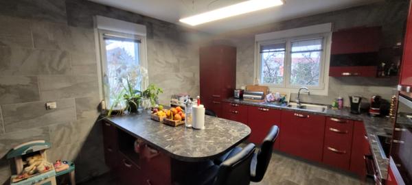 Ingersheim (68040) Grande maison sans travaux au calme