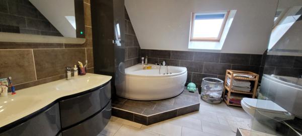 Ingersheim (68040) Grande maison sans travaux au calme