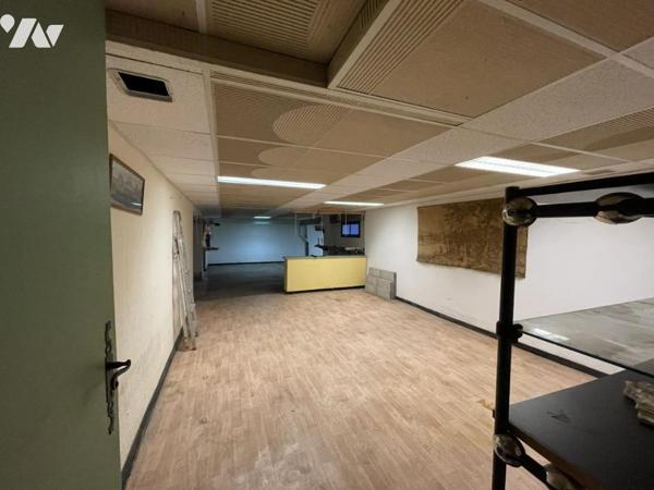 Villa avec piscine et grand terrain arboré