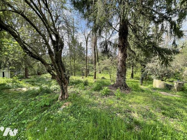 Villa avec piscine et grand terrain arboré