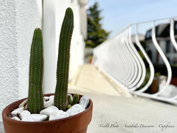 Maison individuelle de ville à CEBAZAT (63) avec garages, cour, jardin, dépendances et T2 indépendant.