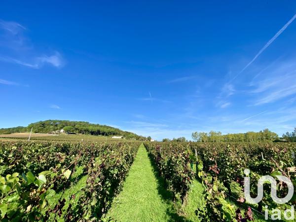 Demeure 8 pièces de 184 m² à Buzet-sur-Baïse (47160)