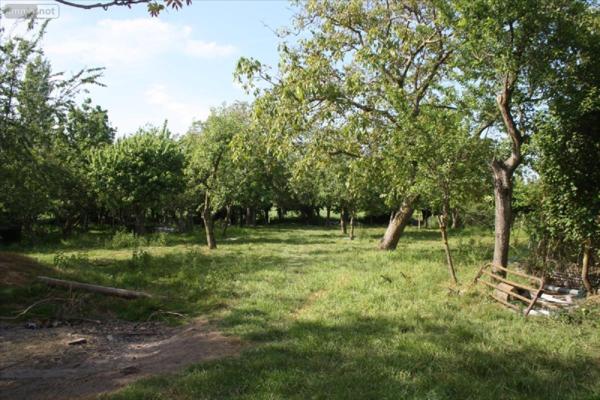 Corps de ferme à vendre à Bailleul dans le Nord (59270), ref : H122022