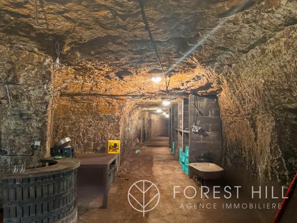 Vouvray (37210) MAISON ATYPIQUE A VOUVRAY