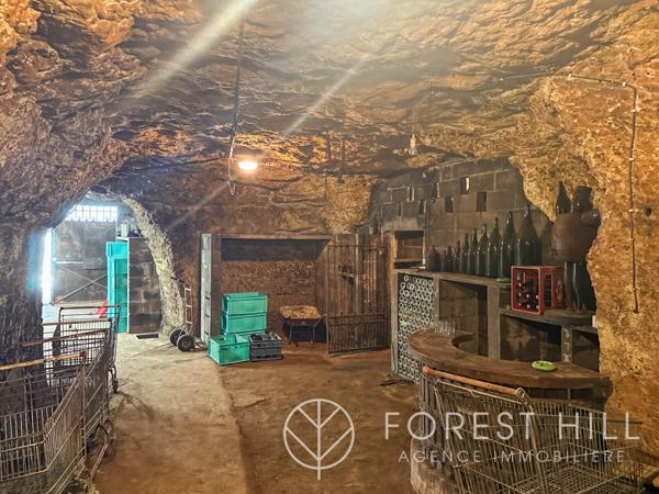 Vouvray (37210) MAISON ATYPIQUE A VOUVRAY