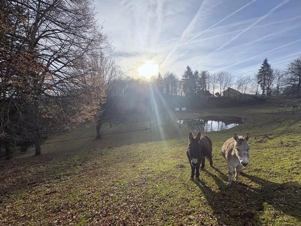 Maison St Laurent Les Eglises 6 pièce(s) 131.43 m2