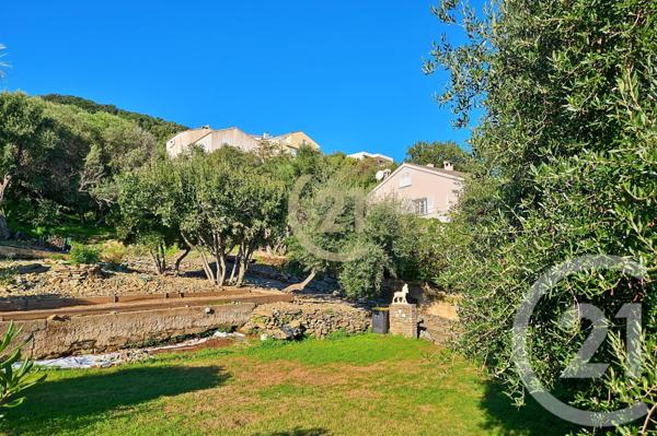 Maison à vendre  6 pièces - 181,91 m2 SAN MARTINO DI LOTA - 202