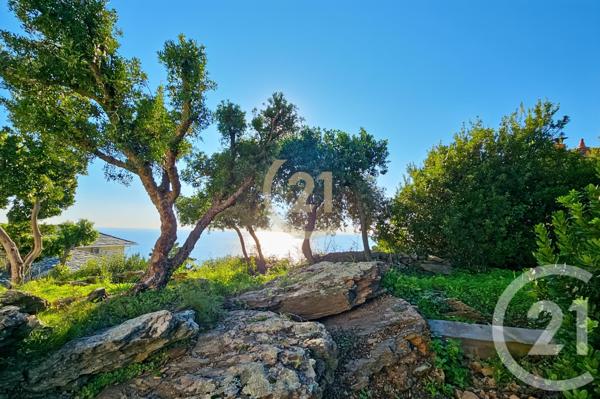 Maison à vendre  6 pièces - 181,91 m2 SAN MARTINO DI LOTA - 202