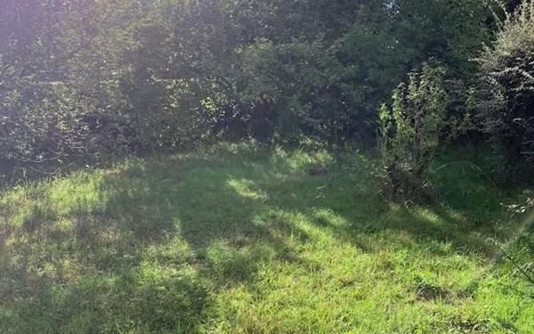 Maison à vendre    4 pièces • 91 m2 Nevers