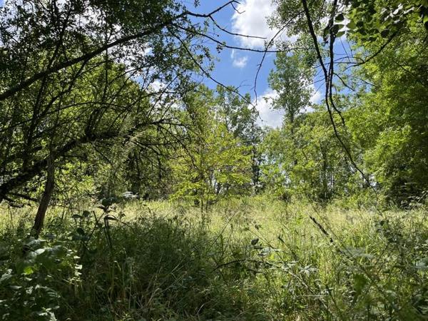 Maison à vendre |  Saint-Sornin-la-Marche |  5 pièces | 133 m²