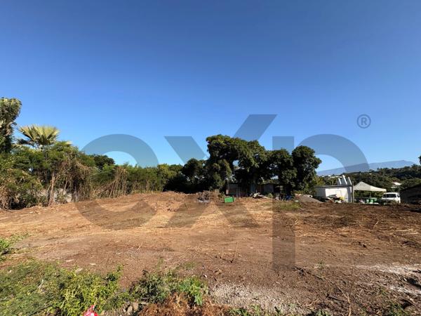 📉 BAISSE DE PRIX LOT B : Terrain 505m2 à la Cafrine/Bassin Plat