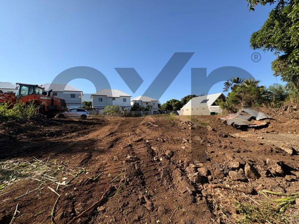 📉 BAISSE DE PRIX LOT B : Terrain 505m2 à la Cafrine/Bassin Plat