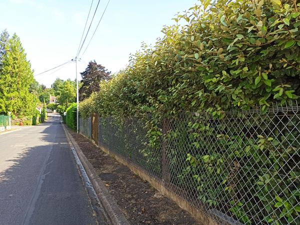 A Saint Aignan sur Cher, Terrain 1121 m² à bâtir