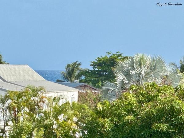 A VENDRE - PROPRIÉTÉ AVEC DEUX HABITATIONS INDÉPENDANTES AU CŒUR D’UN JARDIN TROPICAL À SAINTE-ANNE